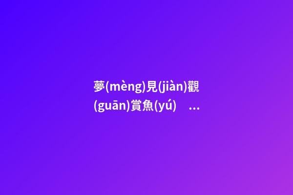 夢(mèng)見(jiàn)觀(guān)賞魚(yú)　周公解夢(mèng)之夢(mèng)到觀(guān)賞魚(yú)